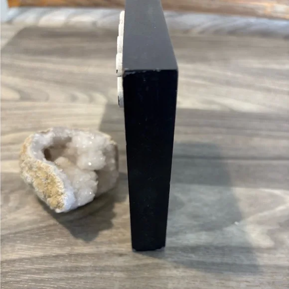 Black and White Dog with Unique Paw Prints - Picture 2 of 3